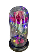 Glass Dome Rose LED Light Lamp